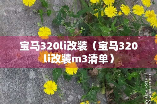 宝马320li改装（宝马320li改装m3清单）