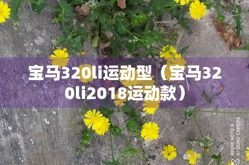 宝马320li运动型（宝马320li2018运动款）