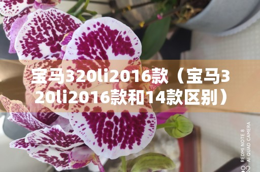 宝马320li2016款（宝马320li2016款和14款区别）