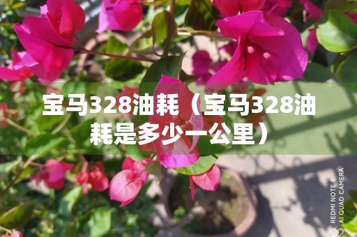 宝马328油耗（宝马328油耗是多少一公里）