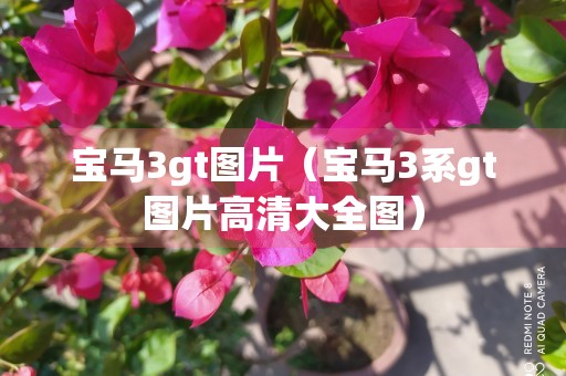 宝马3gt图片（宝马3系gt图片高清大全图）