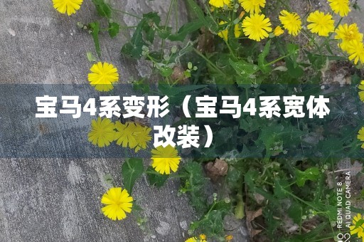 宝马4系变形（宝马4系宽体改装）