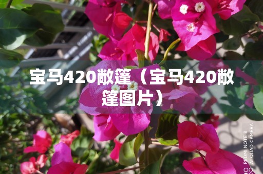 宝马420敞篷（宝马420敞篷图片）