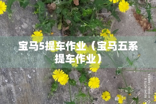 宝马5提车作业（宝马五系提车作业）