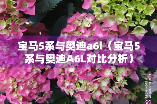 宝马5系与奥迪a6l（宝马5系与奥迪A6L对比分析）