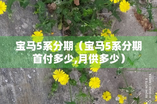 宝马5系分期（宝马5系分期首付多少,月供多少）