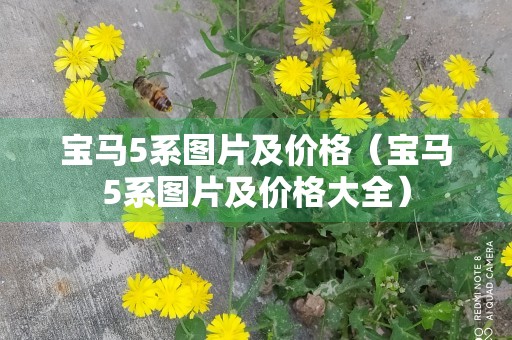 宝马5系图片及价格（宝马5系图片及价格大全）