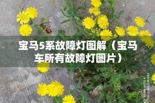 宝马5系故障灯图解（宝马车所有故障灯图片）