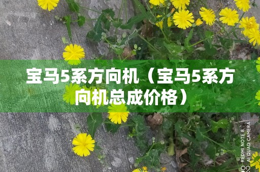 宝马5系方向机（宝马5系方向机总成价格）