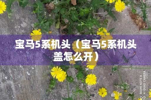 宝马5系机头（宝马5系机头盖怎么开）