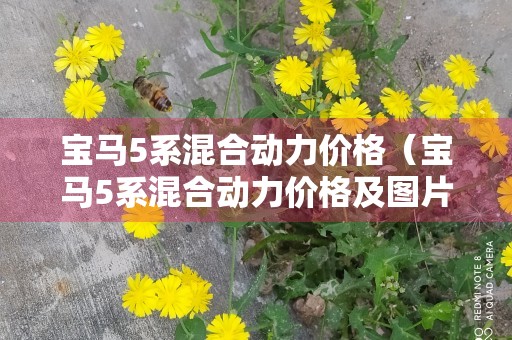 宝马5系混合动力价格（宝马5系混合动力价格及图片）