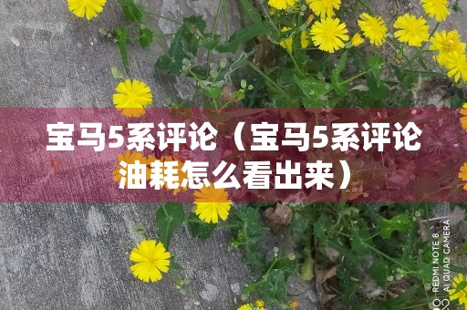 宝马5系评论（宝马5系评论油耗怎么看出来）