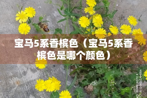 宝马5系香槟色（宝马5系香槟色是哪个颜色）