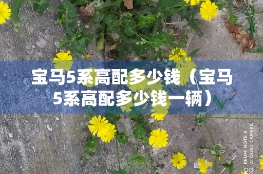 宝马5系高配多少钱（宝马5系高配多少钱一辆）