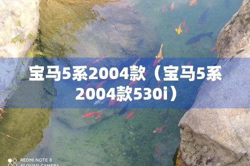 宝马5系2004款（宝马5系2004款530i）