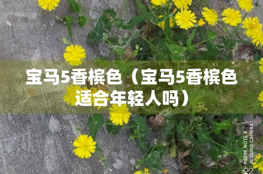 宝马5香槟色（宝马5香槟色适合年轻人吗）