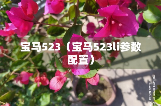 宝马523（宝马523li参数配置）