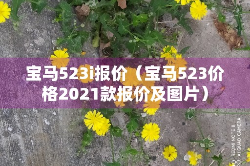 宝马523i报价（宝马523价格2021款报价及图片）