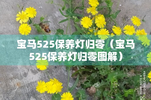 宝马525保养灯归零（宝马525保养灯归零图解）