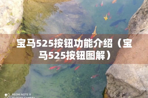 宝马525按钮功能介绍（宝马525按钮图解）