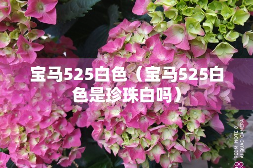 宝马525白色（宝马525白色是珍珠白吗）