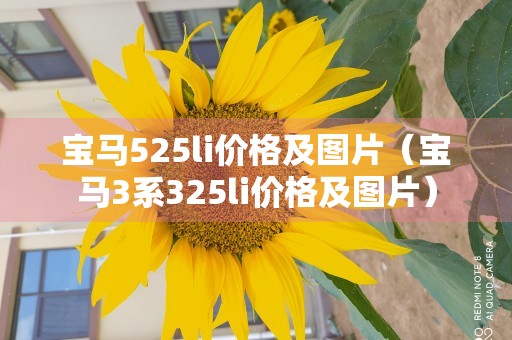 宝马525li价格及图片（宝马3系325li价格及图片）