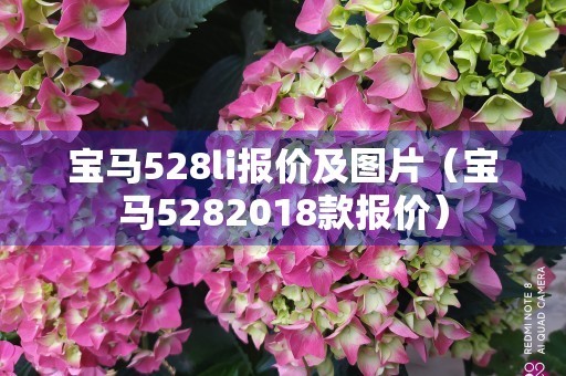 宝马528li报价及图片（宝马5282018款报价）