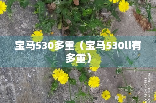 宝马530多重（宝马530li有多重）