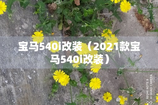 宝马540i改装（2021款宝马540i改装）