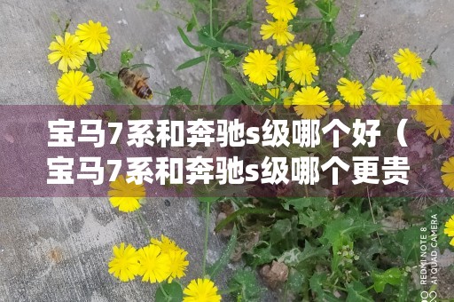 宝马7系和奔驰s级哪个好（宝马7系和奔驰s级哪个更贵）