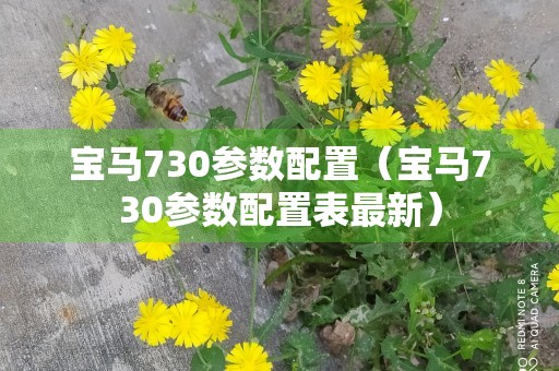 宝马730参数配置（宝马730参数配置表最新）