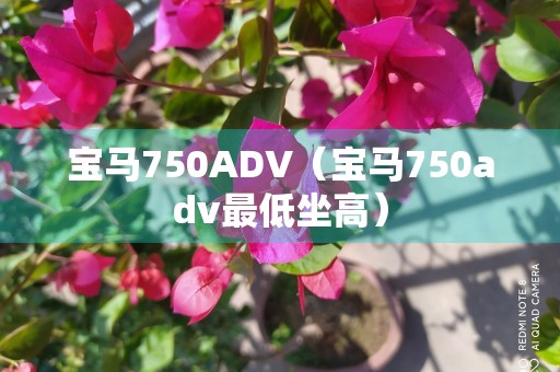 宝马750ADV（宝马750adv最低坐高）