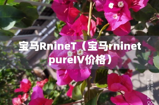 宝马RnineT（宝马rninetpureIV价格）