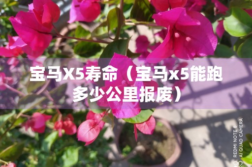 宝马X5寿命（宝马x5能跑多少公里报废）