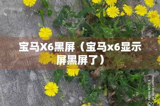 宝马X6黑屏（宝马x6显示屏黑屏了）