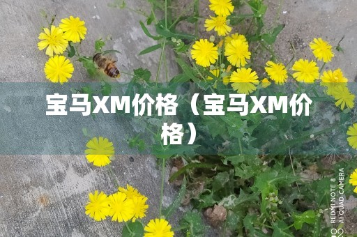 宝马XM价格（宝马XM价格）