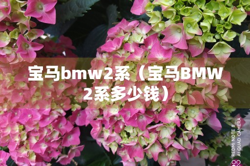 宝马bmw2系（宝马BMW2系多少钱）