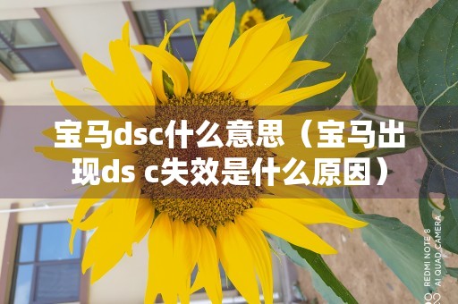 宝马dsc什么意思（宝马出现ds c失效是什么原因）