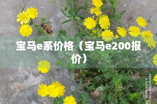 宝马e系价格（宝马e200报价）