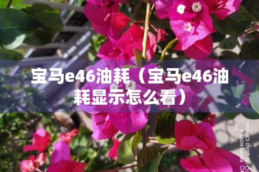 宝马e46油耗（宝马e46油耗显示怎么看）