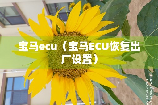 宝马ecu（宝马ECU恢复出厂设置）