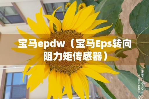 宝马epdw（宝马Eps转向阻力矩传感器）