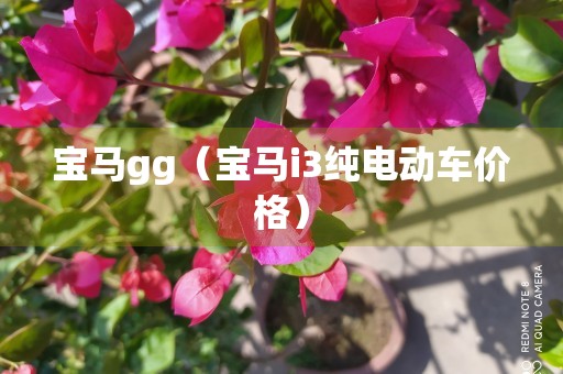 宝马gg（宝马i3纯电动车价格）