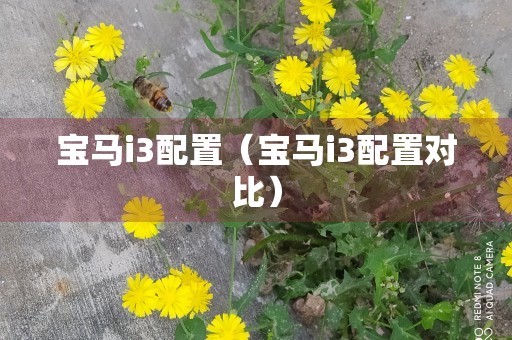 宝马i3配置（宝马i3配置对比）