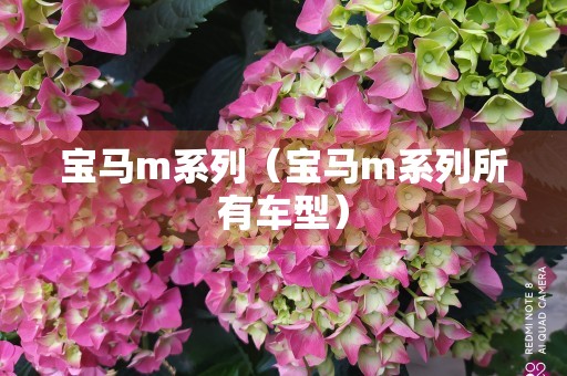 宝马m系列（宝马m系列所有车型）