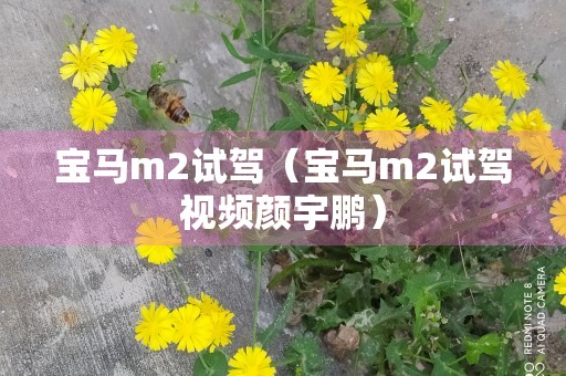 宝马m2试驾（宝马m2试驾视频颜宇鹏）