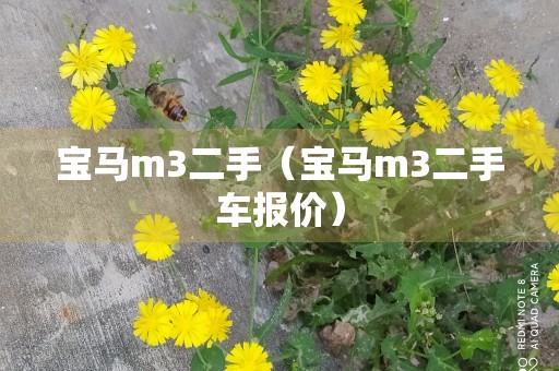 宝马m3二手（宝马m3二手车报价）