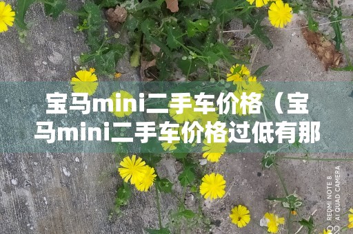 宝马mini二手车价格（宝马mini二手车价格过低有那些原因）