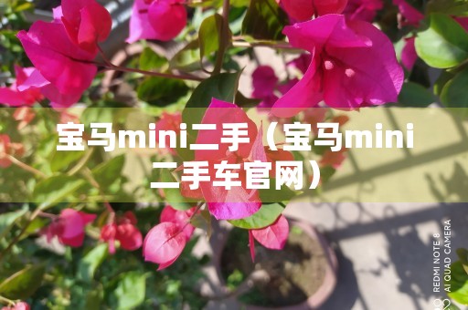 宝马mini二手（宝马mini二手车官网）