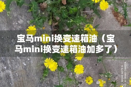 宝马mini换变速箱油（宝马mini换变速箱油加多了）